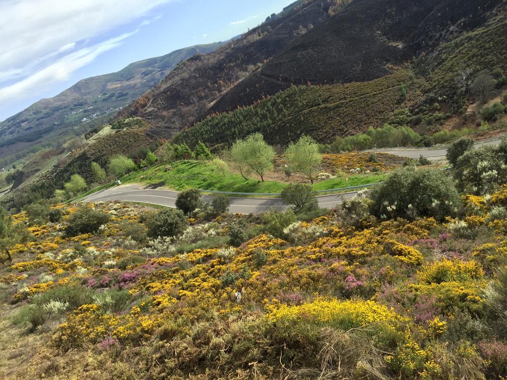 Alojamiento En Entorno Rural Los Trobos Villar de Otero Buitenkant foto